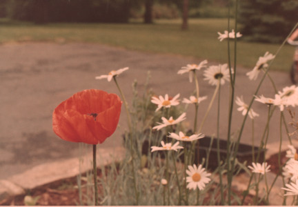 scan0009.tif